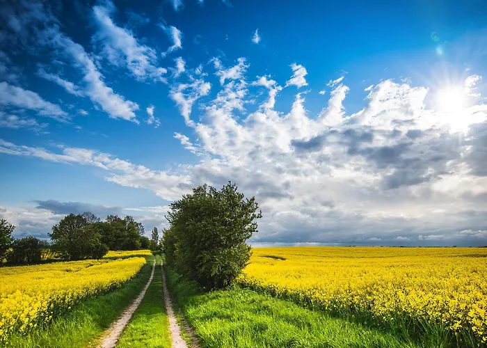 Διαμέρισμα Fiona *